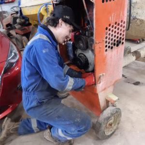 Eagle Plant Chard Apprentice 02