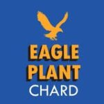 Eagle Plant Chard